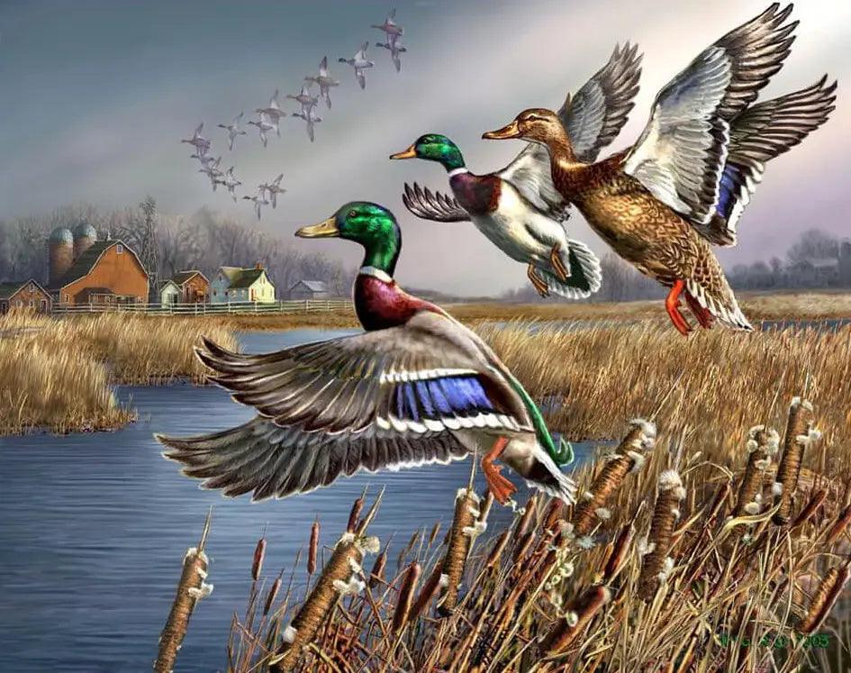 Diamond Painting - Outback wilde eenden