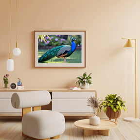 Diamond Painting - Pauw met uitwaaierende veren in juweeltinten