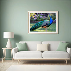 Diamond Painting - Pauw met uitwaaierende veren in juweeltinten