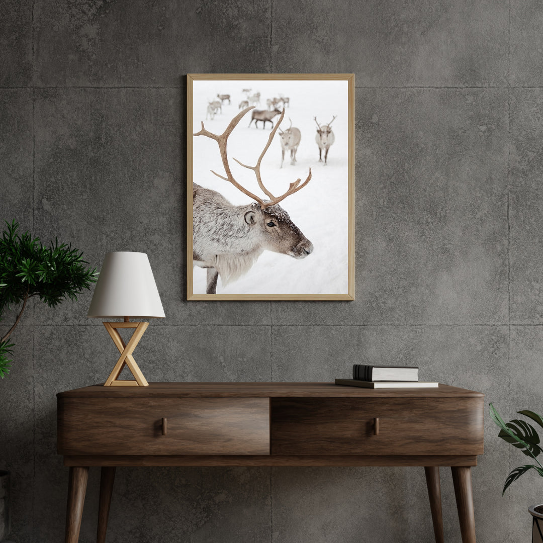 Diamond Painting - Rendieren in Tromsø Noorwegen