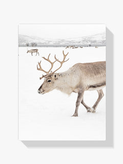 Diamond Painting - Rendieren in een winterlandschap