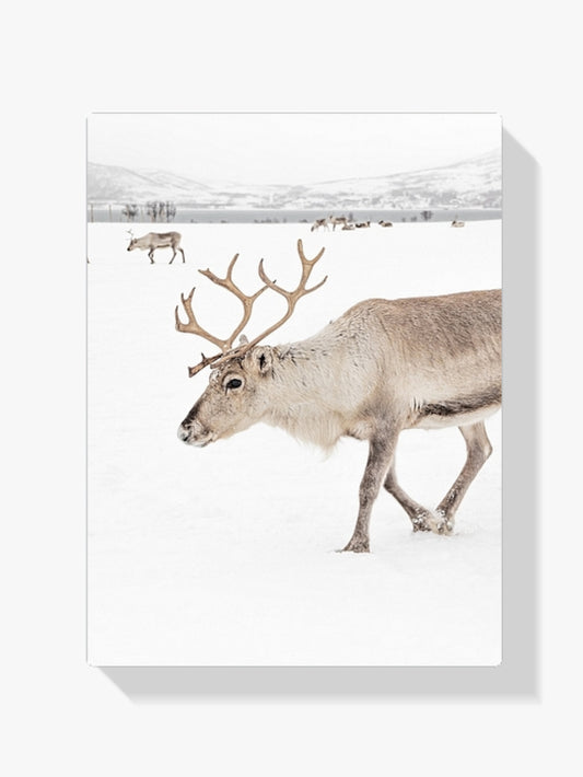 Diamond Painting - Rendieren in een winterlandschap