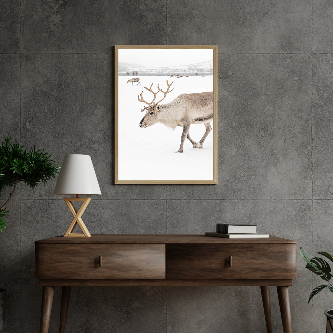 Diamond Painting - Rendieren in een winterlandschap