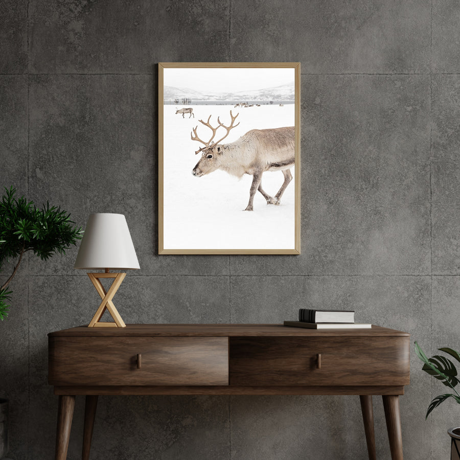 Diamond Painting - Rendieren in een winterlandschap