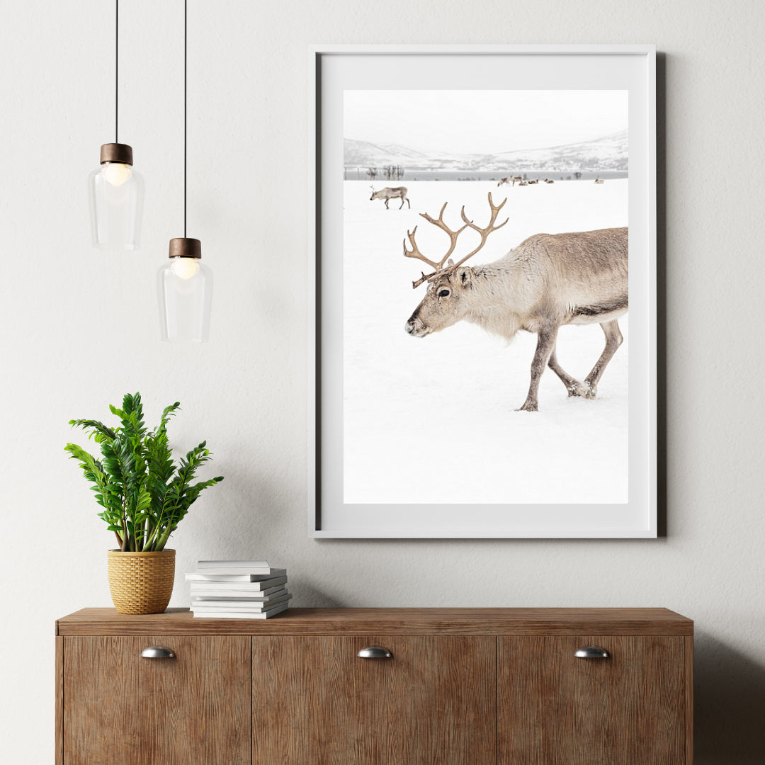 Diamond Painting - Rendieren in een winterlandschap