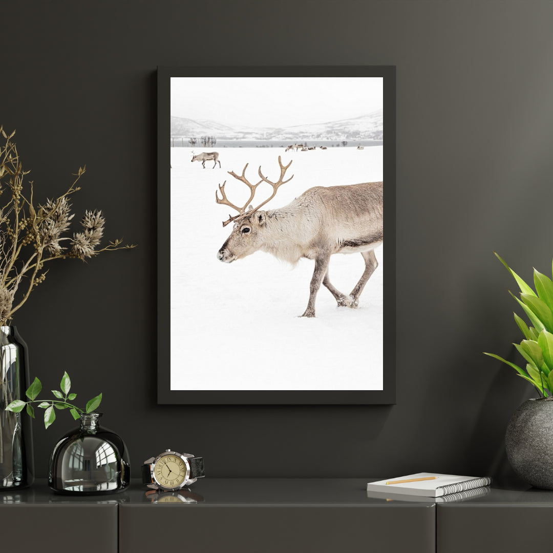 Diamond Painting - Rendieren in een winterlandschap