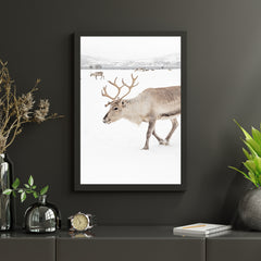 Diamond Painting - Rendieren in een winterlandschap