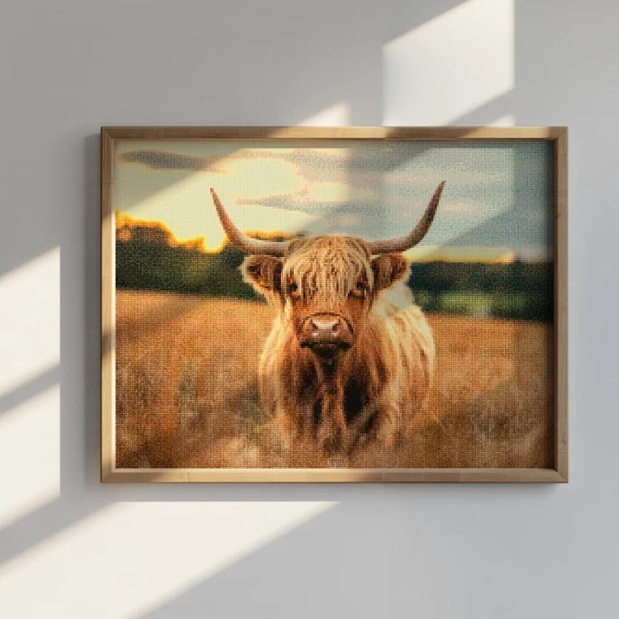 Diamond Painting - Schotse hooglander