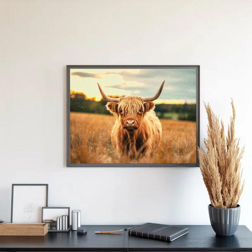 Diamond Painting - Schotse hooglander