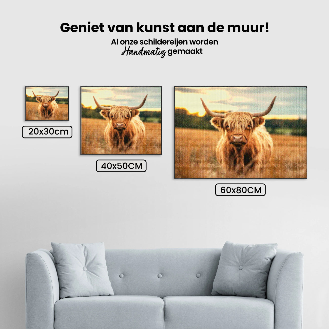 Diamond Painting - Schotse hooglander