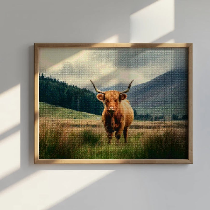 Diamond Painting - Schotse hooglander