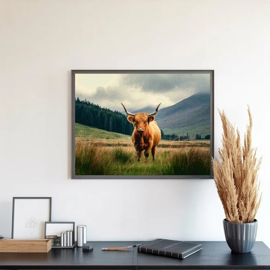 Diamond Painting - Schotse hooglander