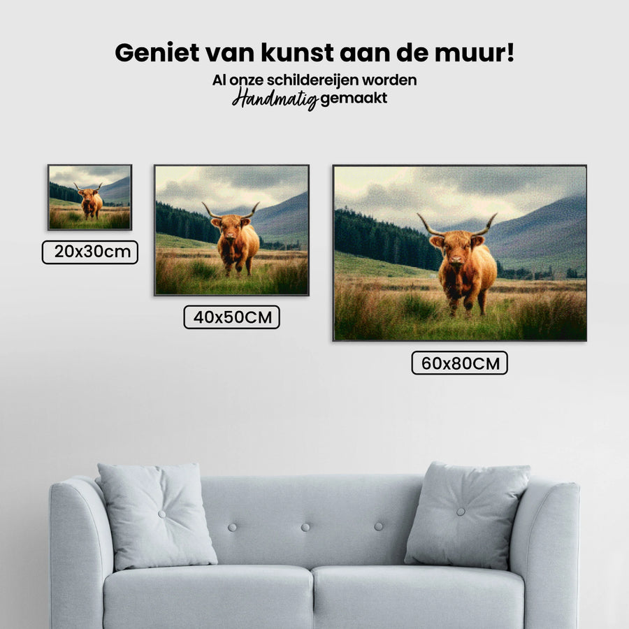 Diamond Painting - Schotse hooglander