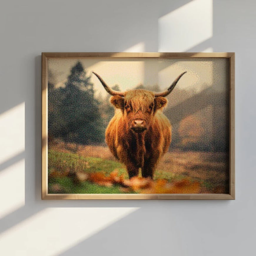 Diamond Painting - Schotse hooglander