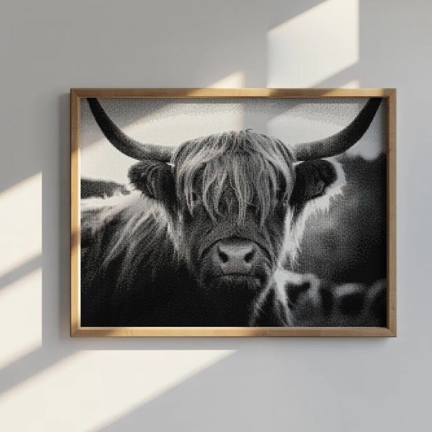 Diamond Painting - Schotse hooglander