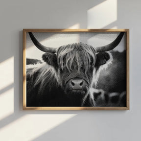 Diamond Painting - Schotse hooglander