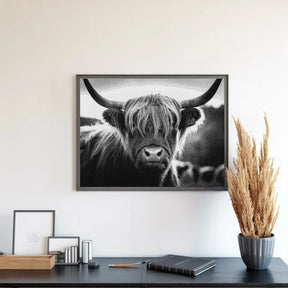 Diamond Painting - Schotse hooglander