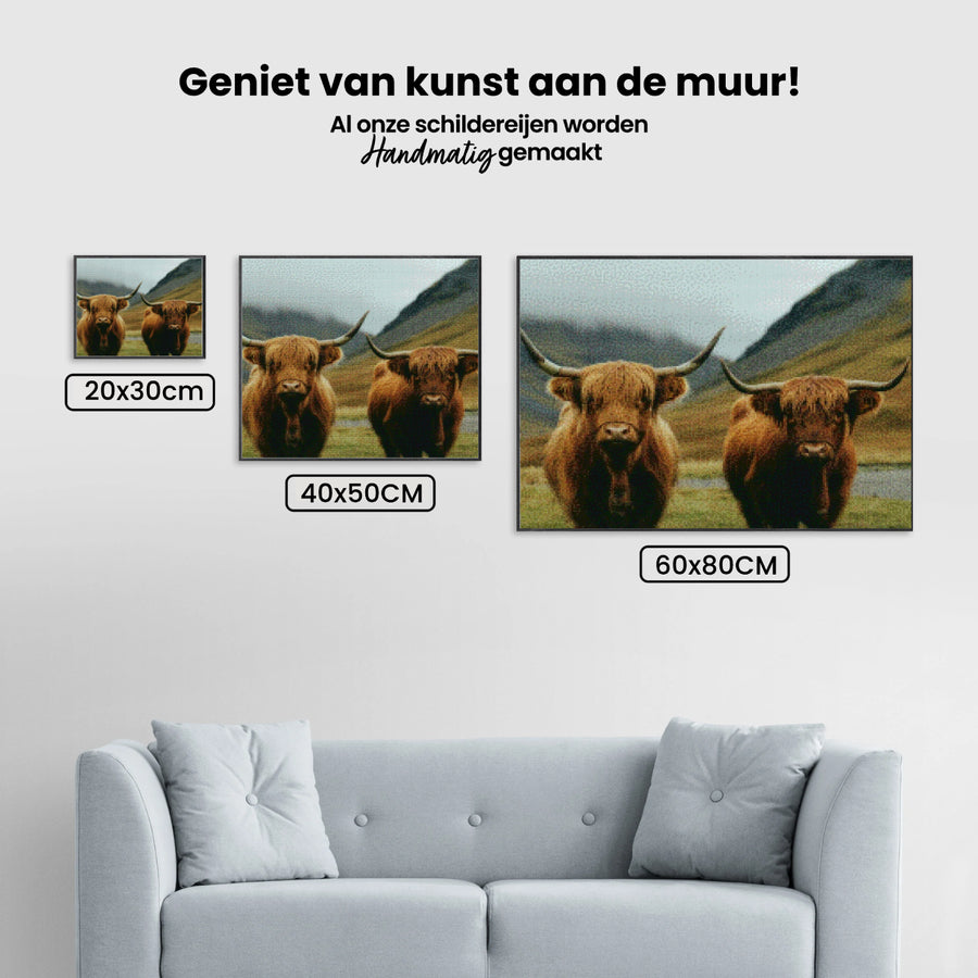Diamond Painting - Schotse hooglander