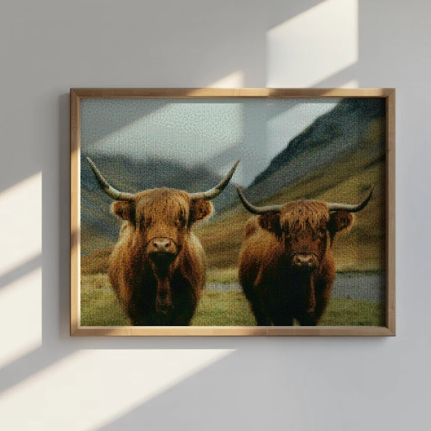 Diamond Painting - Schotse hooglander