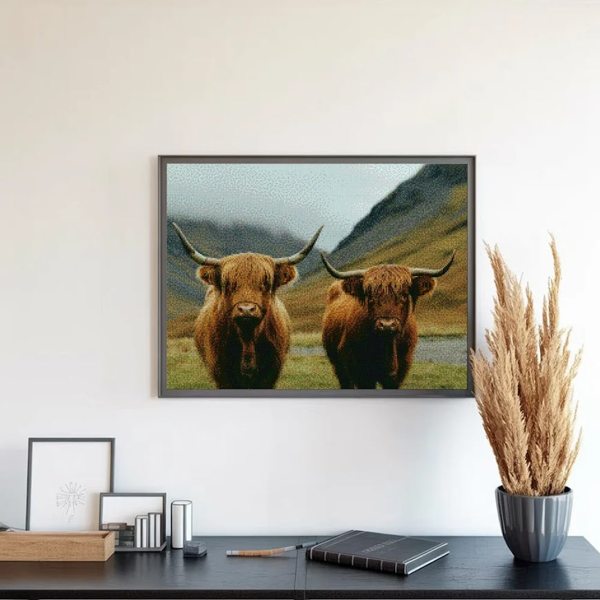 Diamond Painting - Schotse hooglander