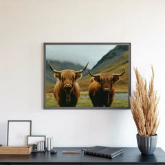 Diamond Painting - Schotse hooglander