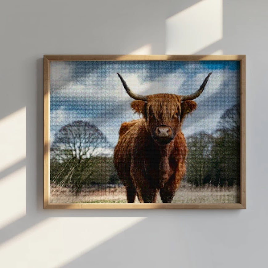 Diamond Painting - Schotse hooglander