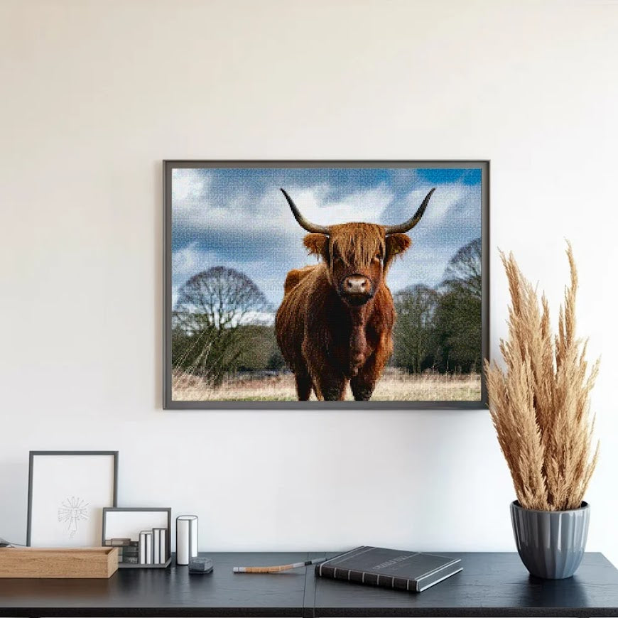 Diamond Painting - Schotse hooglander