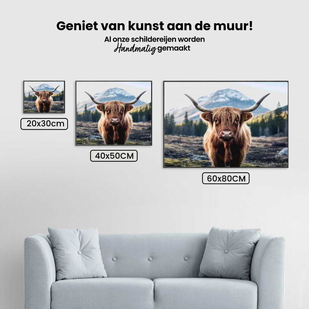 Diamond Painting - Schotse hooglander