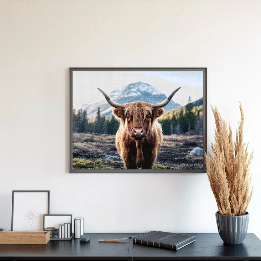Diamond Painting - Schotse hooglander