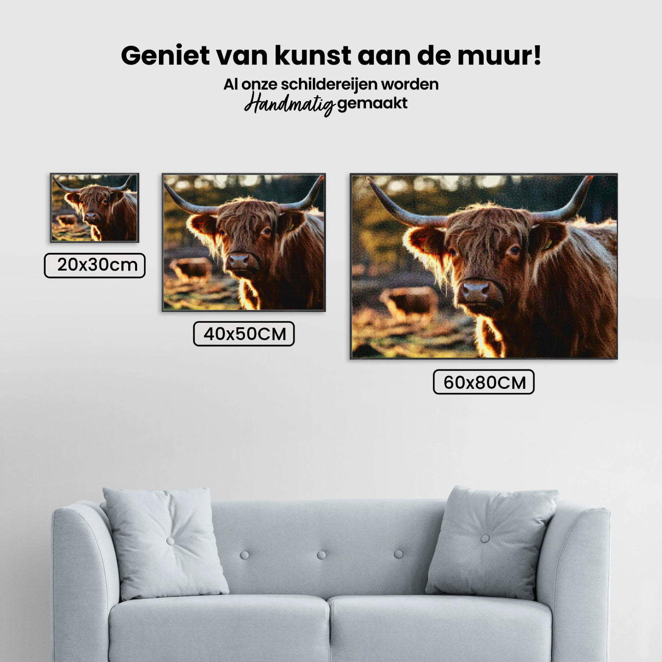 Diamond Painting - Schotse hooglander