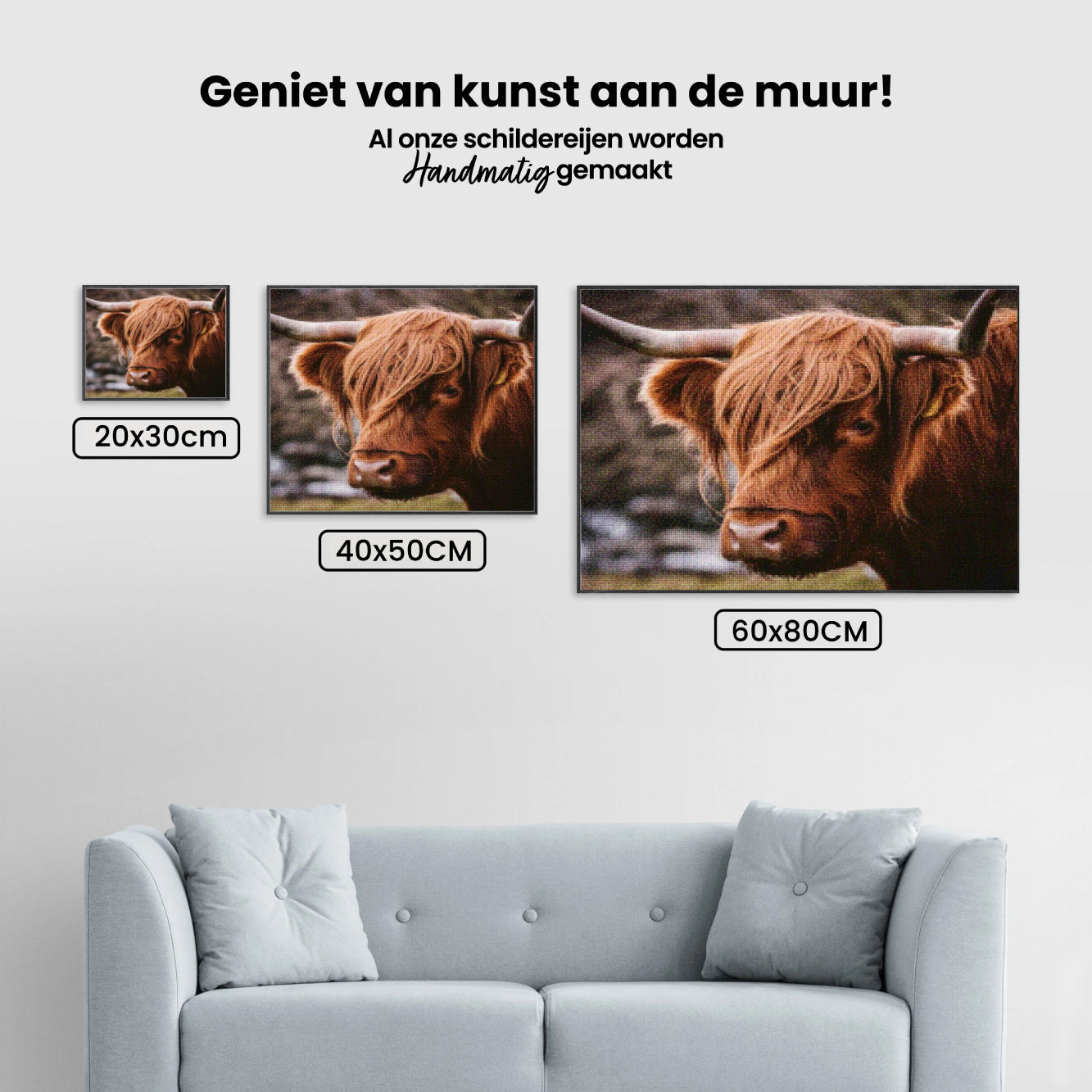 Diamond Painting - Schotse hooglander