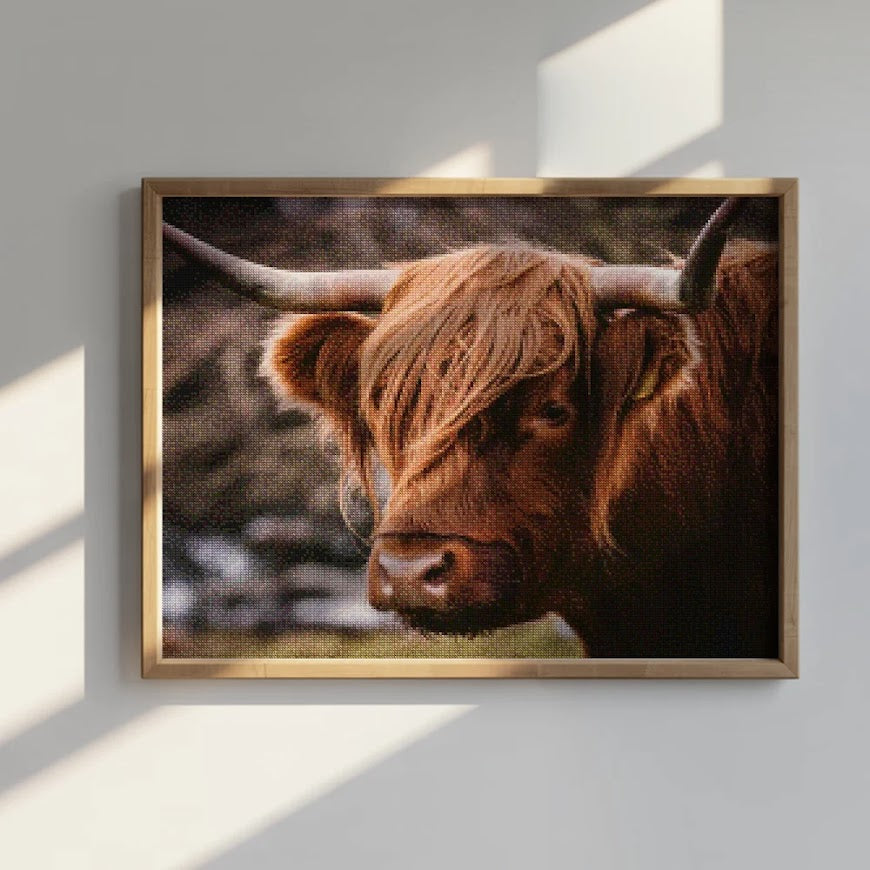 Diamond Painting - Schotse hooglander