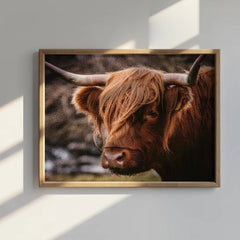 Diamond Painting - Schotse hooglander