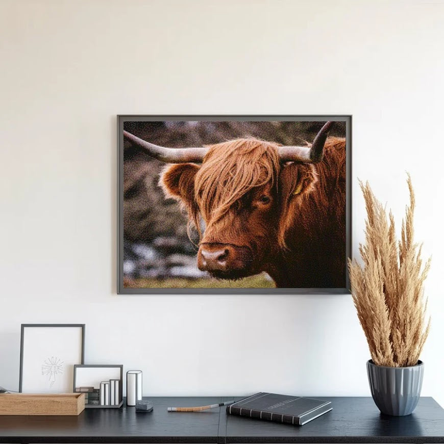 Diamond Painting - Schotse hooglander
