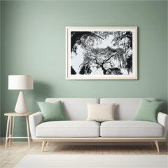 Diamond Painting - Silhouet van bomen - SEOS Shop ®