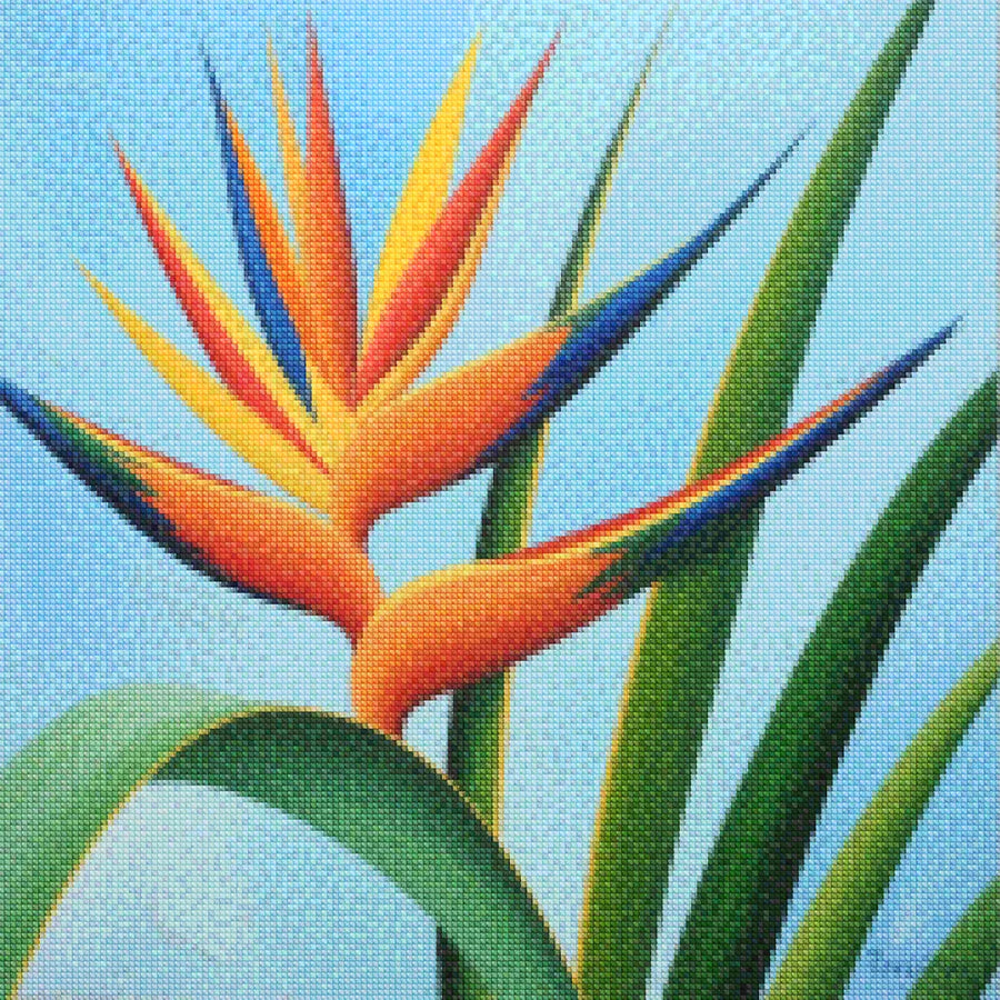Mini Diamond Painting - Tropische flikker