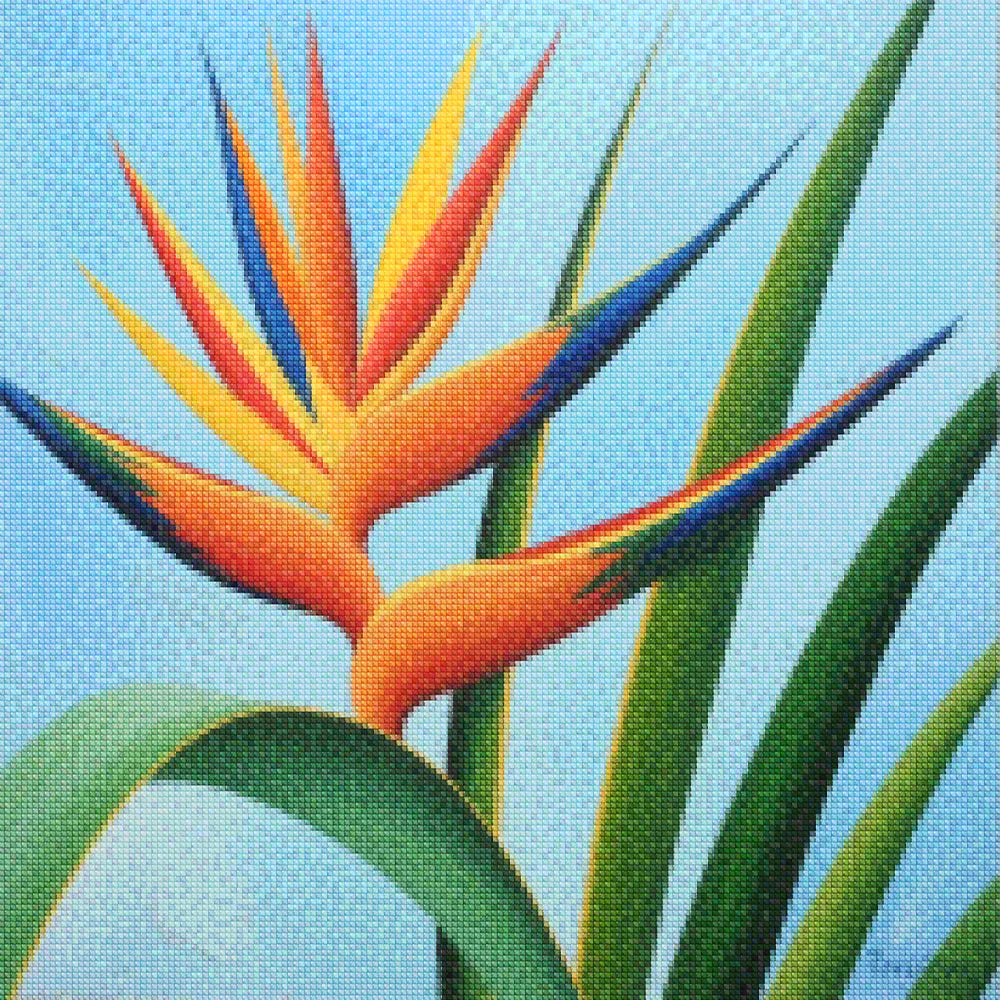 Diamond Painting - Tropische flikker
