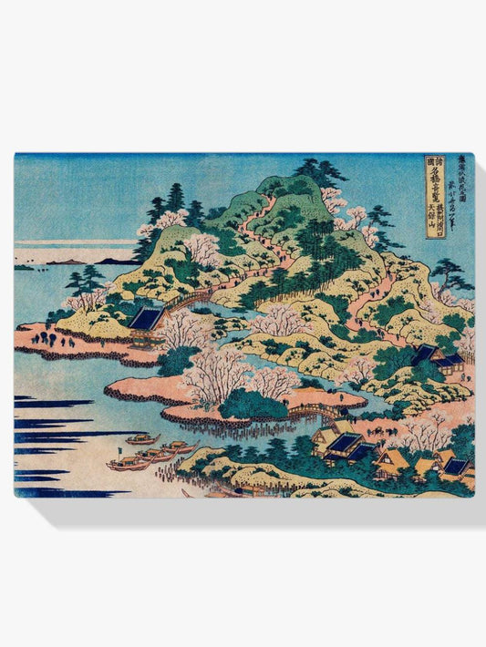 Diamond Painting - Vaccinatie Ajikawaguchi winkel - SEOS Shop ®