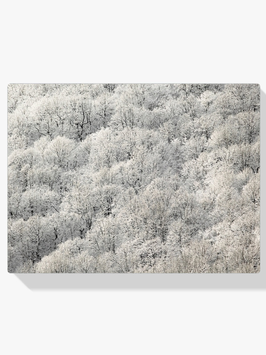 Diamond Painting - Witte bomen