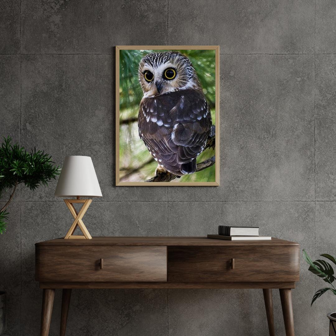 Diamond Painting Gele Ogen Uil - SEOS Shop ®