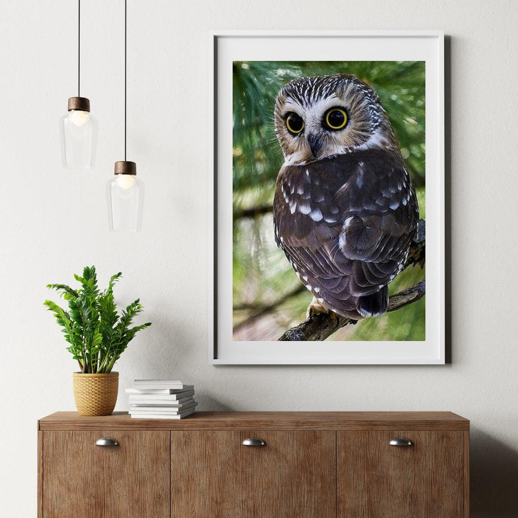 Diamond Painting Gele Ogen Uil - SEOS Shop ®