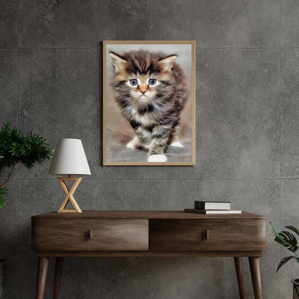 Diamond Painting Harige kitten - SEOS Shop ®