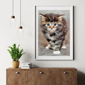 Diamond Painting Harige kitten - SEOS Shop ®