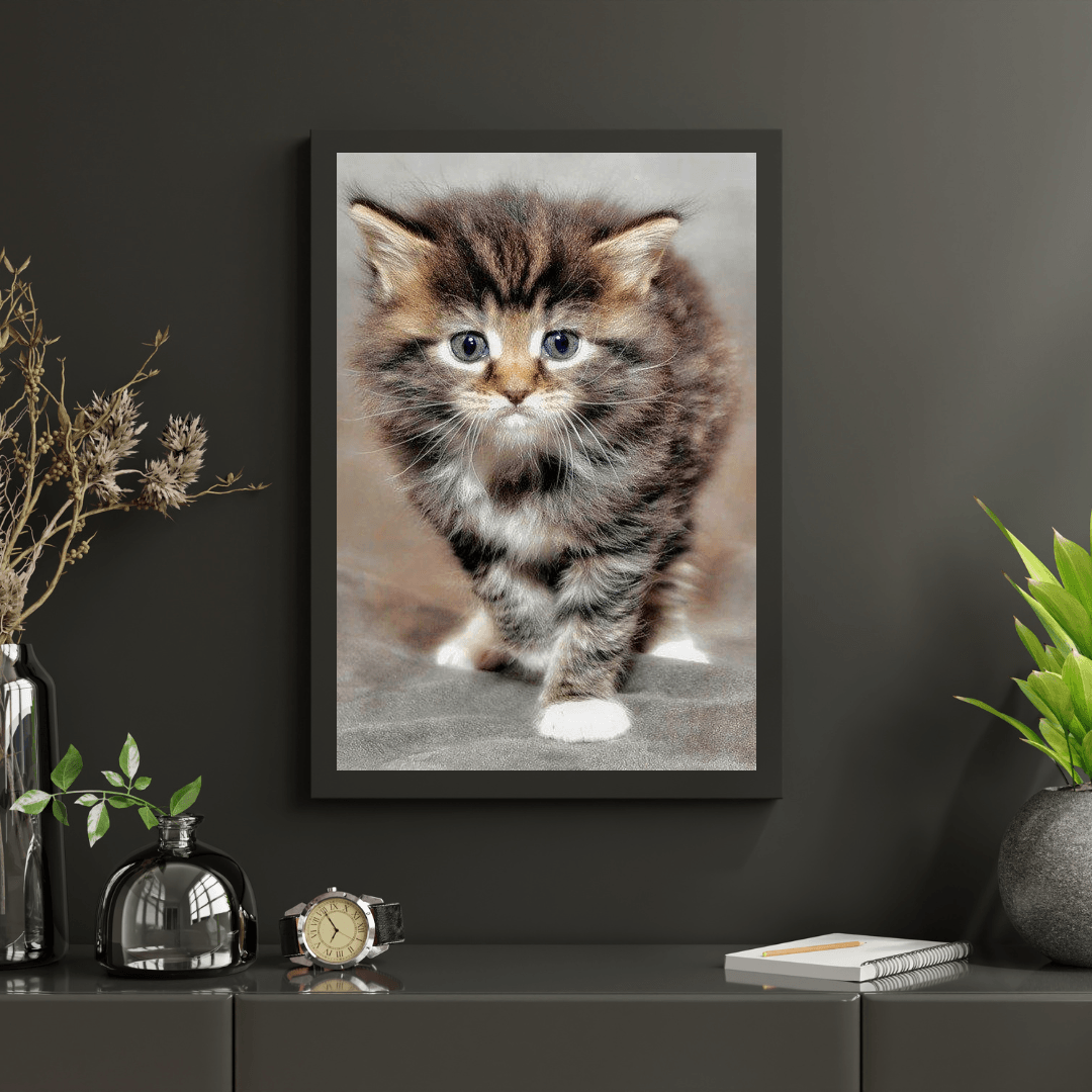 Diamond Painting Harige kitten - SEOS Shop ®