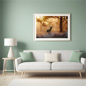 Diamond Painting Hert in het bos – SEOS Shop ®
