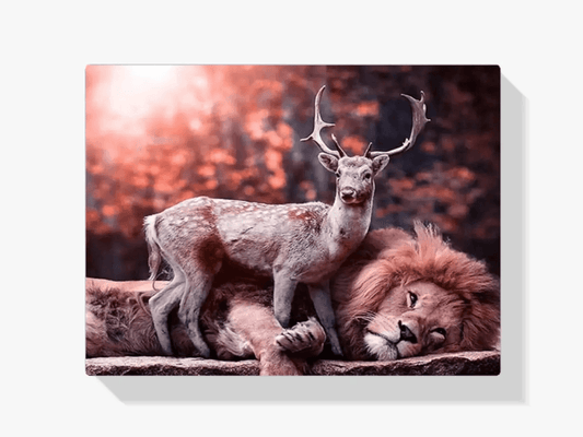 Diamond Painting Hert ligt op leeuw - SEOS Shop ®