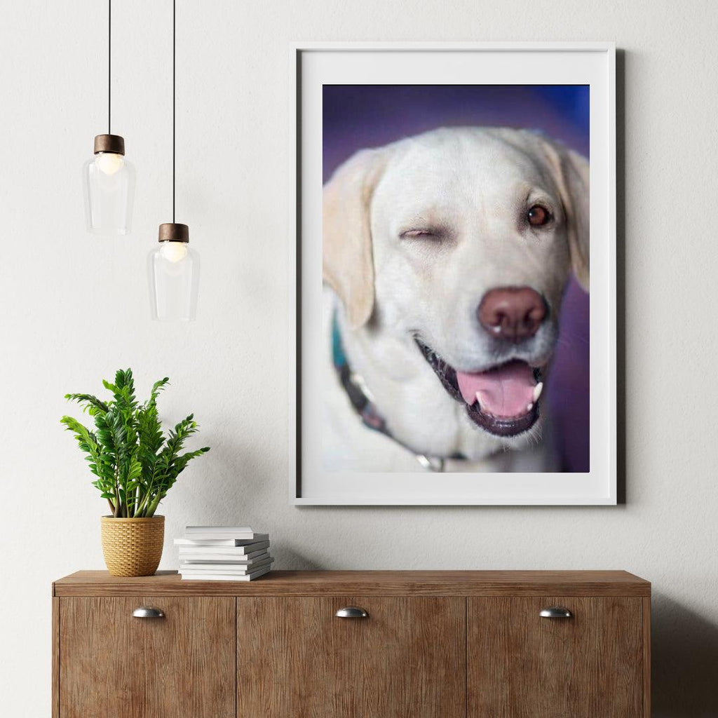 Diamond Painting Hond met knipoog - SEOS Shop ®