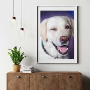Diamond Painting Hond met knipoog - SEOS Shop ®