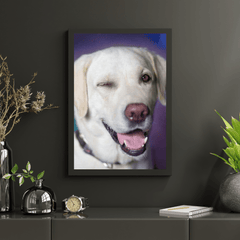 Diamond Painting Hond met knipoog - SEOS Shop ®
