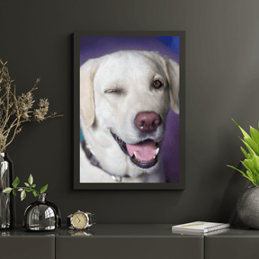 Diamond Painting Hond met knipoog - SEOS Shop ®